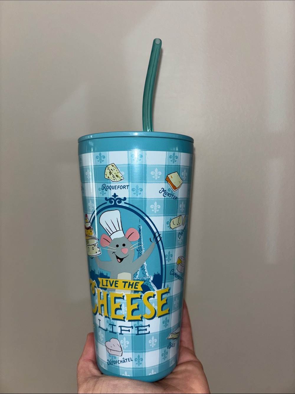Ratatouilli insulated tumbler